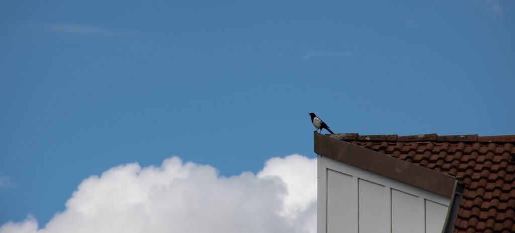 Residential contracts – what’s new for buyers