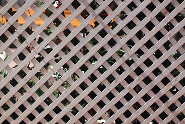 Why you definitely need a lawyer in property conveyancing