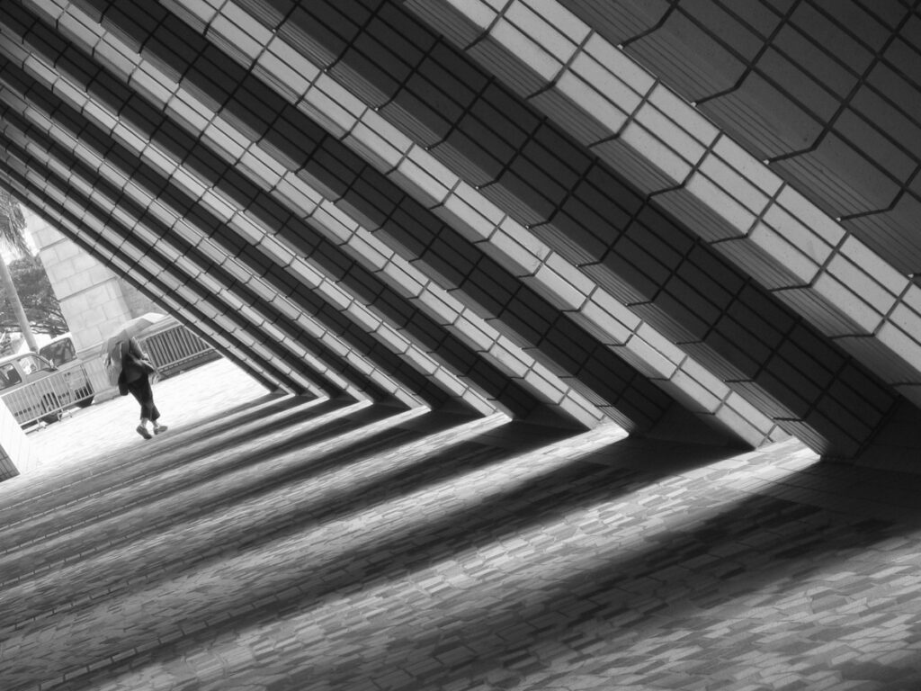 What Should Be Included in a Proper Shareholders’ Agreement