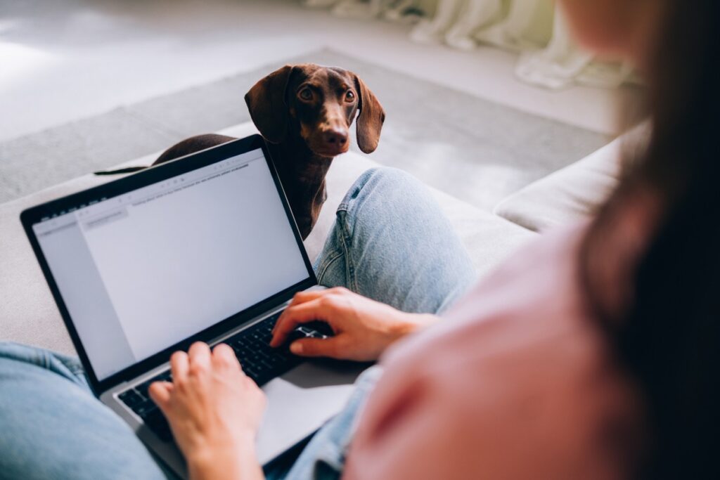 An Australian Business Owner’s Guide to Joint Ventures